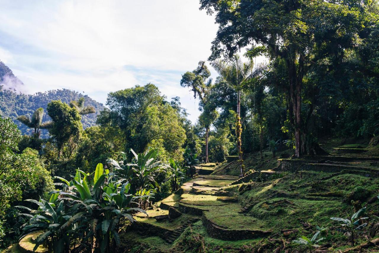 Finca Cuipo Buritaca Dış mekan fotoğraf